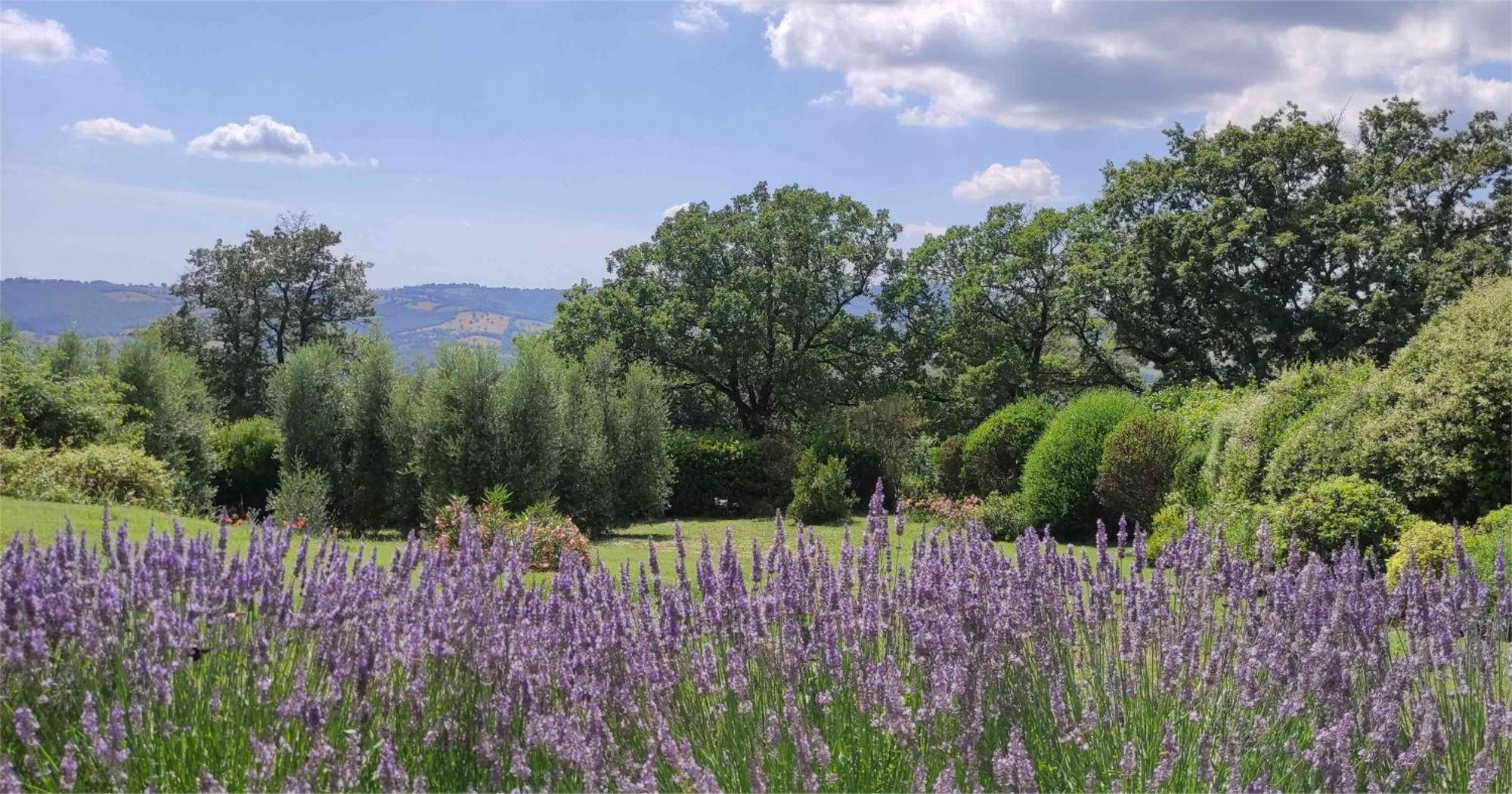 Podere Sant'Angelo Roccalbegna Екстер'єр фото